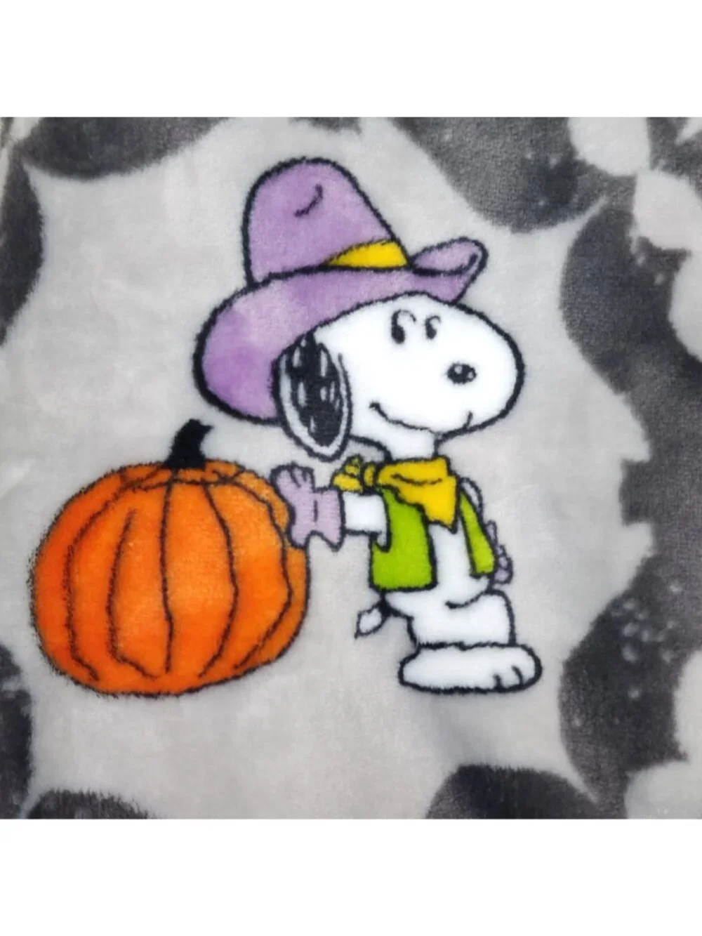 Peanuts VelvetLoft Throw Blanket 60